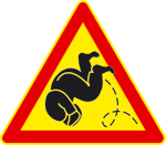 Näin tehdään parkour -kuperkeikka.