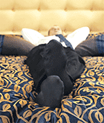 Krooh. 87 pitkää leffatuntia.