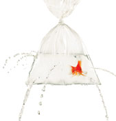 Tarjoilija, drinkkini vuotaa.