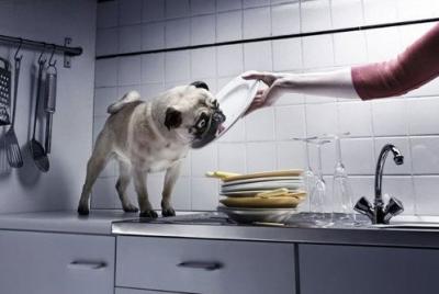 Toi ois hyvä tiskikone..