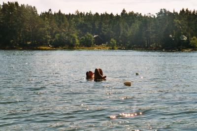 Kuinka tämä on mahdollista ?