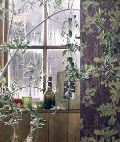 Carl von Linné luokitteli luonnon. Sen kunniaksi me saamme tapetteja.