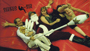 Nähdäänkö pikkujoulusirkuksessa voimamies tai vihreäpartainen nainen?