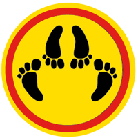 Ole eläimellinen. Myös norsut harrastavat sitä.