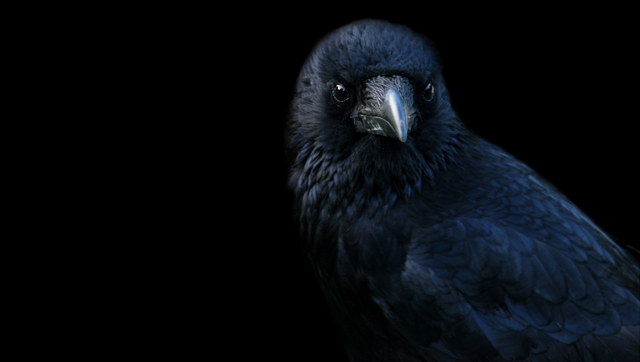 Ei, se ei ole Depp. Mutta voisi tietty olla vahvan meikin alla.