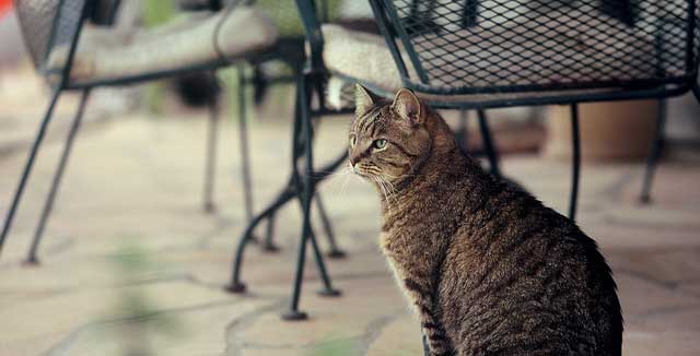 "Seuraavalla videolla istun pahvilaatikossa."