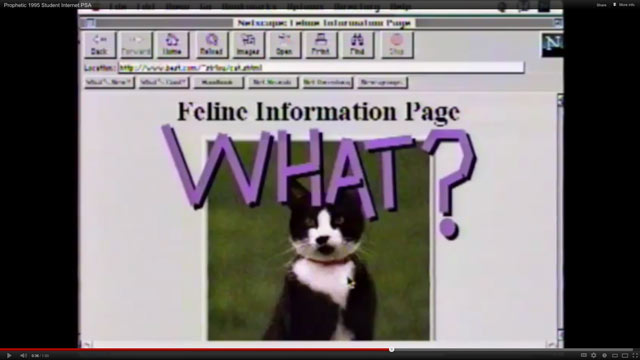 I can haz cat pagez? Yez.