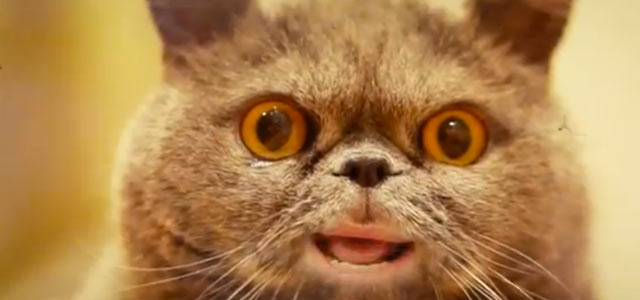 Salvador, mutta ei Dali.