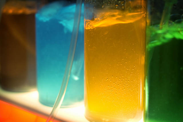 Kokeilisitko makuhappea?