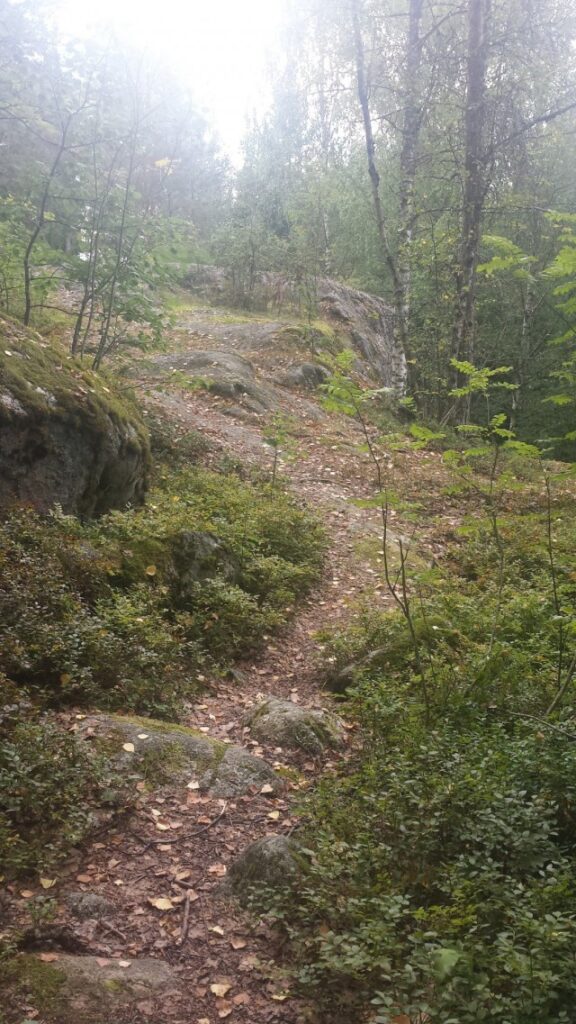 Kun kävelet, poikkea suoralta tieltä pienemmille poluille.