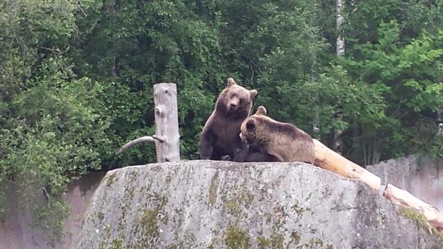 Onnellisuus on sitä, että on onnellinen kaikilla elämän osa-alueilla. Kuva ähtäristä.