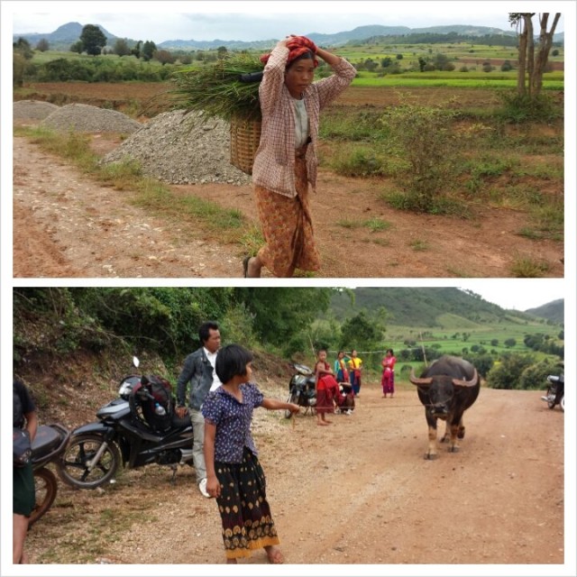 Myanmarissa naiset tekevät yleensä kaikki työt. Ei paha diili. Mitäs jos otettais suomeenkin tämä käytäntö? (vitsi)