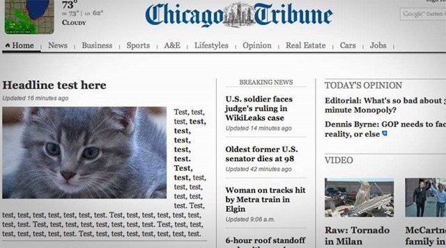 Kissakuva toimii aina.