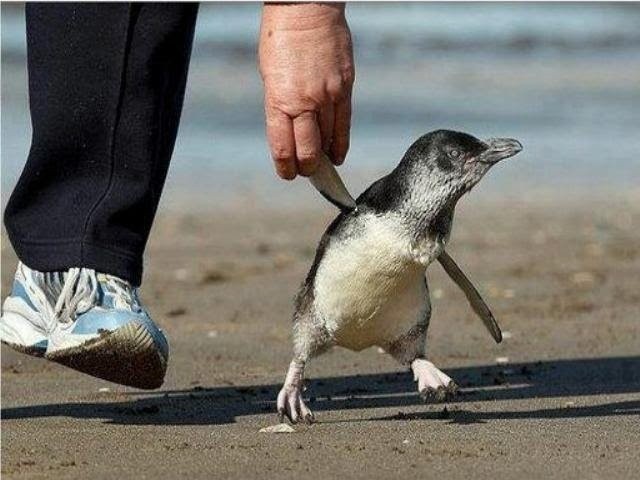 Thank you for all the protection and guidance.