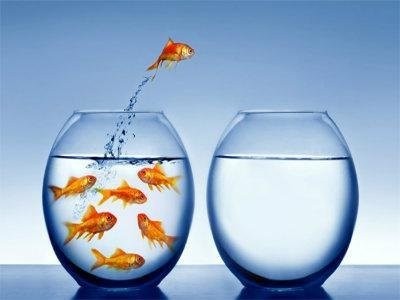 Because I want to, and because I can.