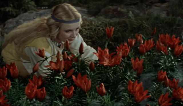 Suomalaisuutta pohtiva True Finn on tämän vuoden IHME-teos.