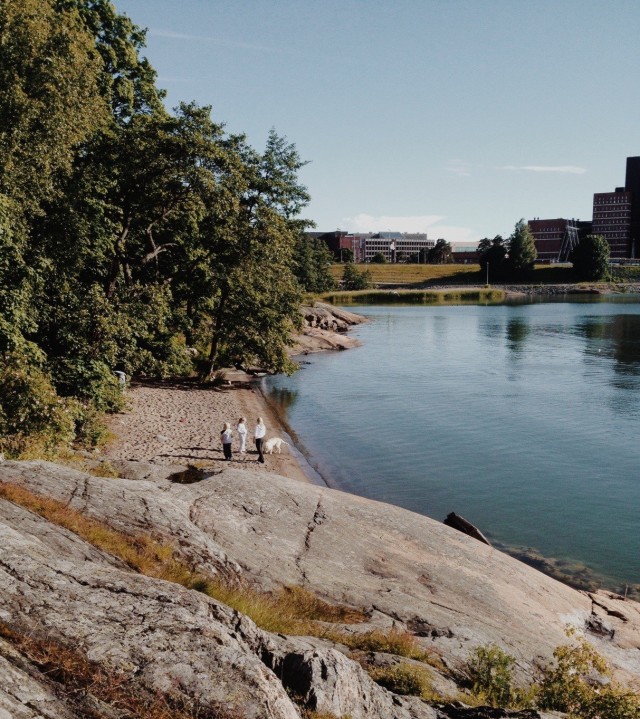 Lapinlahden pikkiriikkinen uimaranta on rauhallinen kaistale keskellä Helsinkiä.