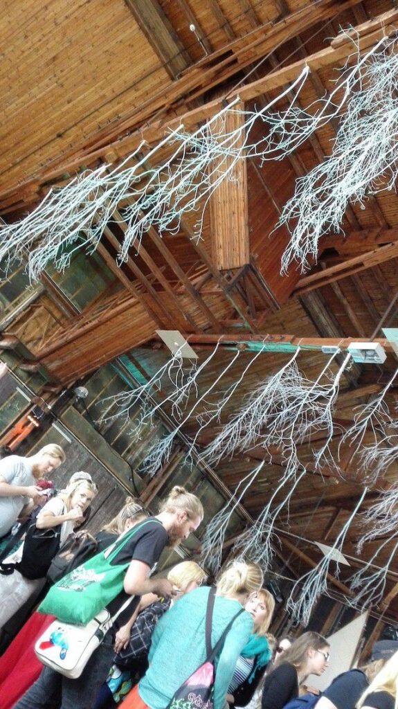 Naava kasvaa katosta.