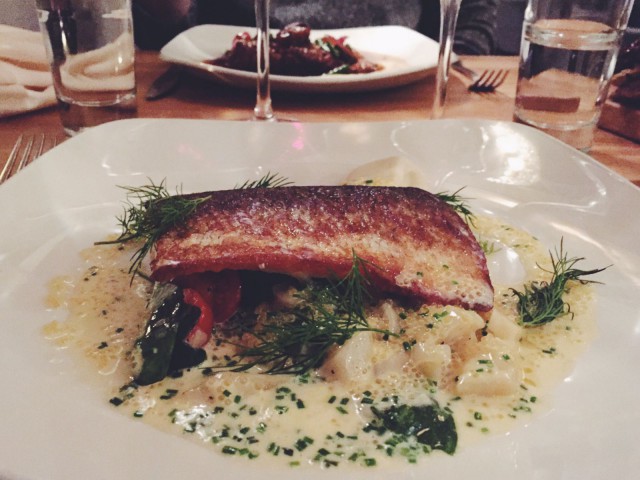 Ei sen väliä, kuha on siikaa. Eiku.. Kuha siika on hyvää. Eiku.. No, Mamin siika on erinomaista.