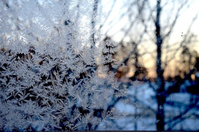 Uskaltaudu ikkunan toiselle puolelle.