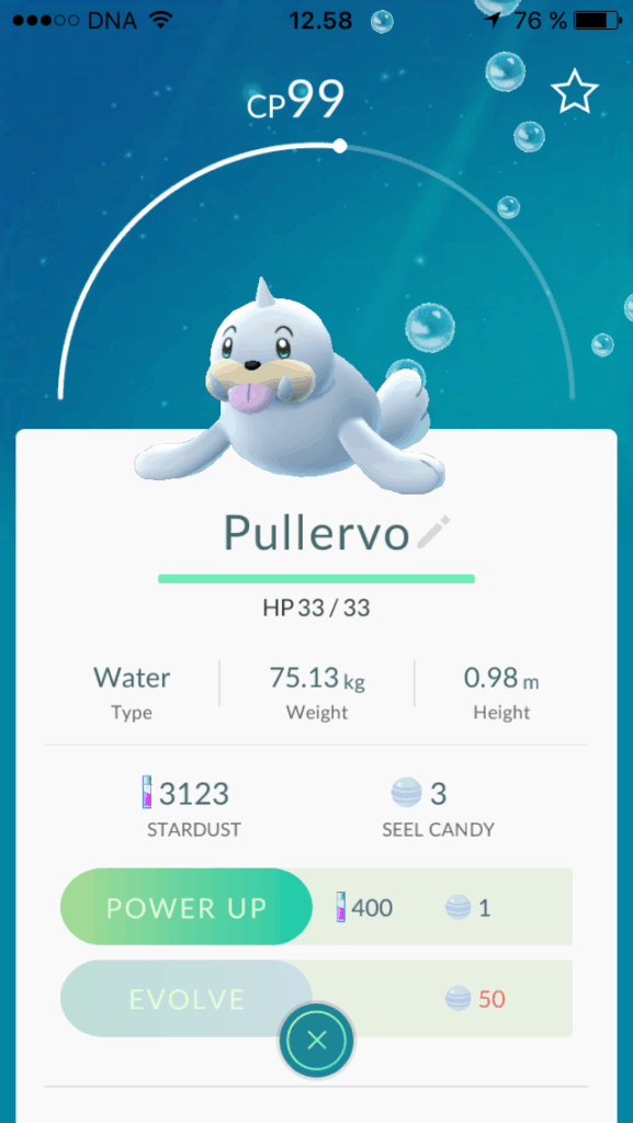 Virtuaaliolennolle saa halutessaan antaa itse lempinimen.