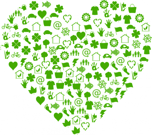 Ekologinen ajattelu johtaa ekologiseen elämiseen. Ensin on muutettava ajattelua. Sitten otettava ensimmäinen askel.