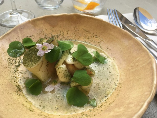 Chapter: Selleriä ja seljankukkaa