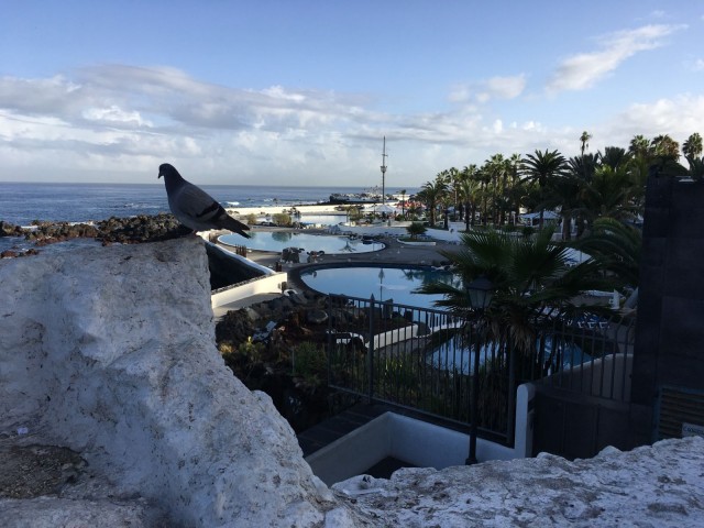 Puerto de La Cruzista on helppo tehdä päiväretkiä paikallisten asuttamiin lähikaupunkeihin.