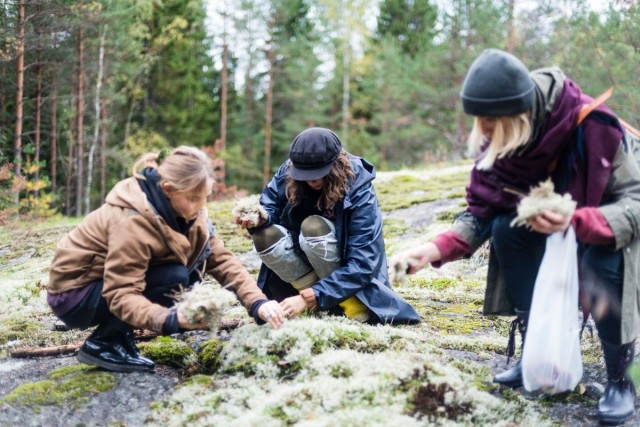 Veera Varvikko (vas.) ja Kaisla Rantala ovat keränneet Magun keittiöön luonnonantimia yhdessä ystäviensä kanssa. Reetta Koivukoski (oik.) on auttanut keräilyssä.