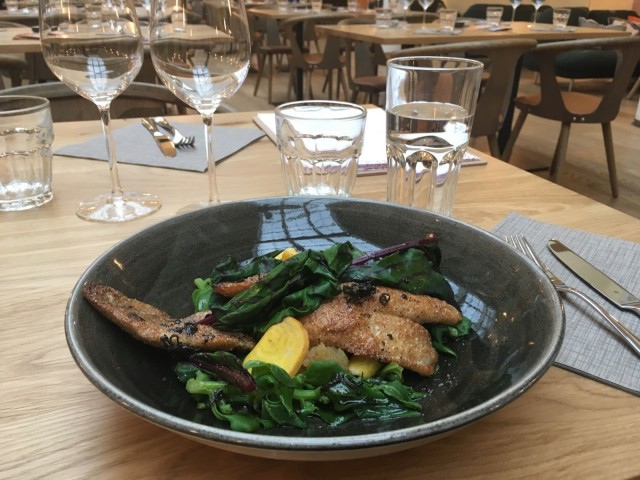 Spagettikurpitsaa, keltajuurta, mangoldia ja salviavoissa paistettua ahventa.