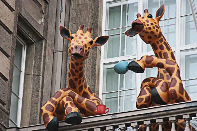 Kira ja Raffe saivat kahvihetkensä päätökseen. Toivottavasti Luomus-museolle löytyy joku uusi some-aikaan sopiva vetonaula.