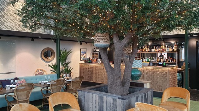 Tunnelmallisessa talvipuutarhassa voi viettää iltaa pikkutunneille saakka.