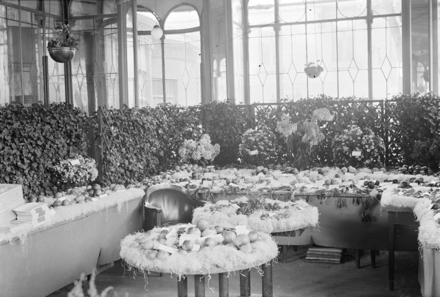 Omenanäyttely Kappelin tiloissa.