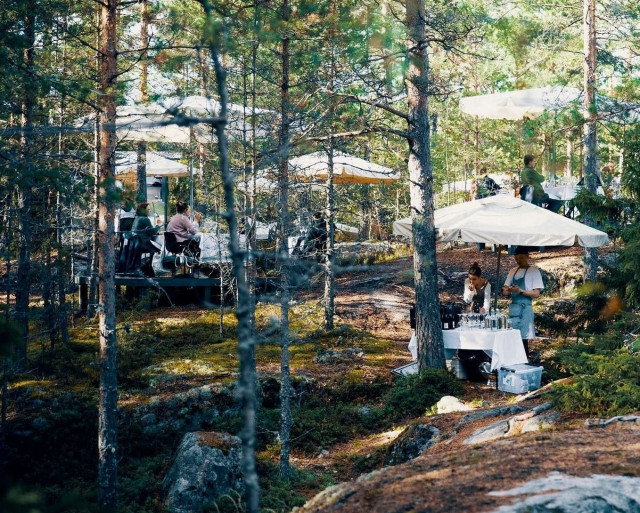 Raadin mukaan illallinen metsässä Nuuksion kansallismaisemassa on ylistys ruokamatkailua ja -kulttuuria kohtaan.
