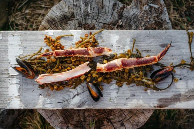 Jäämeri-viikoilla pääsee nauttimaan myös harvinaisemmista herkuista.