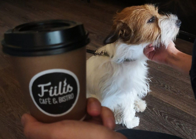 Kahvilakoira Onni on Fiiliksen vakiokasvoja.