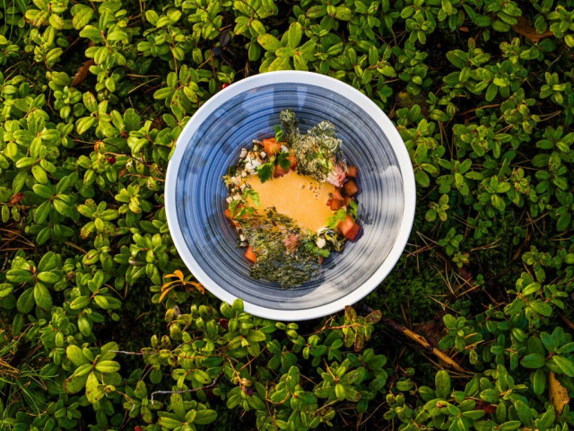 Hummerikeitto a´la PLATS