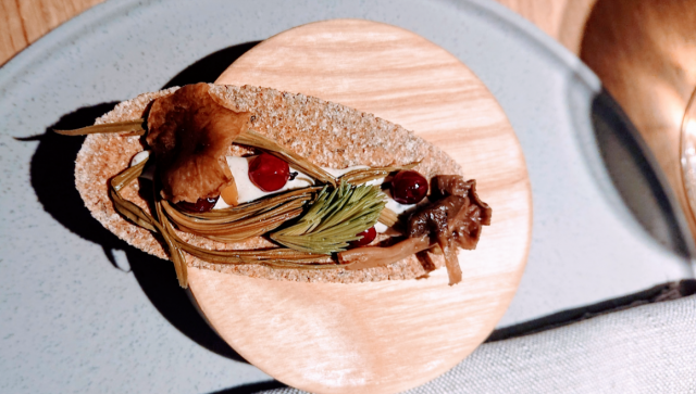 Metsäinen amuse heti alkuun