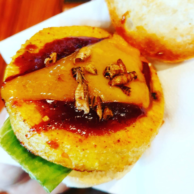 Hyönteisbursaa oli tarjolla Slush21 oheistapahtuma Tonic21:ssä.