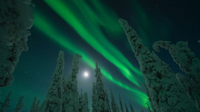 Finnjävel Aistit -illallisella nähdään valokuvaaja Riku Karjalaisen vaikuttavia kuvia ja videoita suomalaisesta luonnosta. Aistit-elämyksen taidealkupaloista vastaa Helsingin Taidehalli.