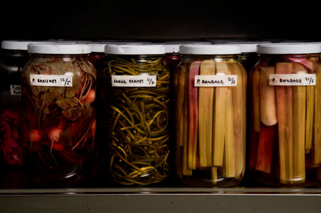 Nollassa luonnonantimet hyödynnetään tarkkaan.