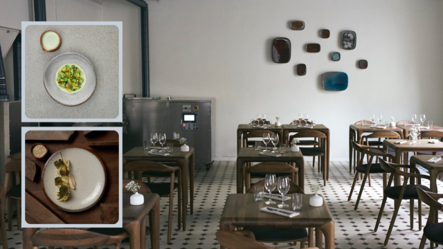 Nolla hurmasi raadin kekseliäisyydellään ja taidokkuudellaan.