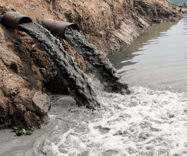 Saasteet näkyvät ennen kaikkea vesistöissä. Kuvituskuva.